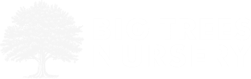 Big Trees Nursery